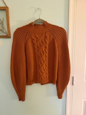 Francesca's Collections Cable Mock Neck Sweater - Rust